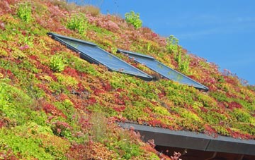 Bread Street living roof systems
